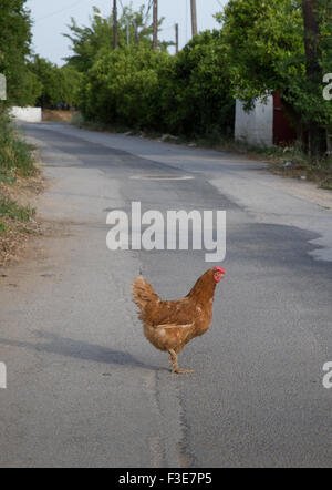 Chicken road online, chicken road españa